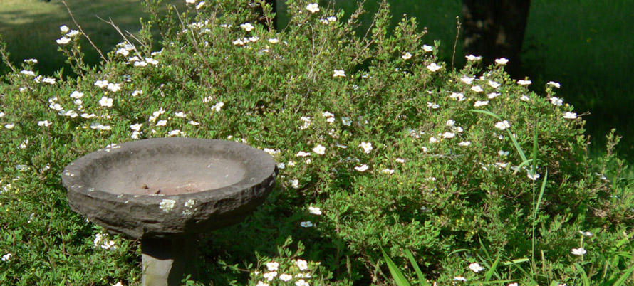  photo main_004_zpsm2sjzsng.jpg