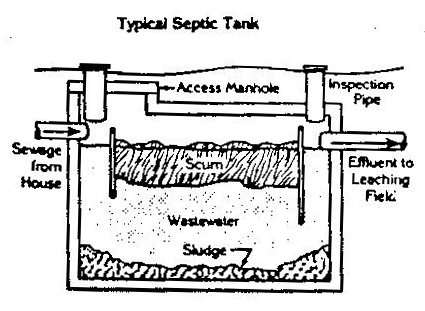septic1